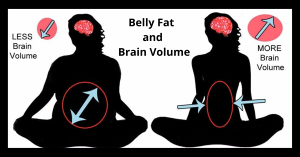 Smaller Brain Size Leads To More Belly Fat 