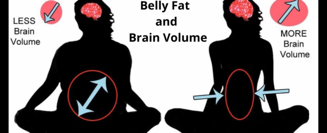 Belly Fat and Brain Volume