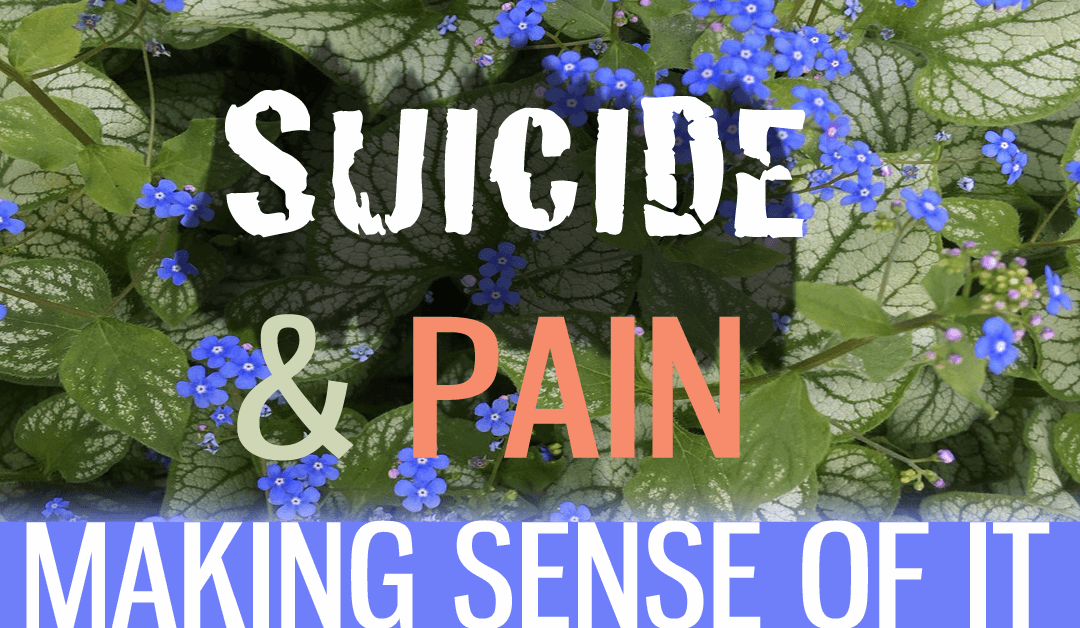 Episode 105: Suicide & Pain – Making Sense Out of It