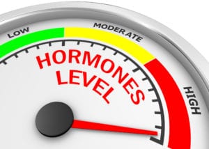 Hormones - The Body's Internet System