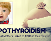 Dr. Lindsey Berkson Hypothyroidism